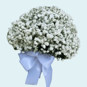 RDR-novias-11