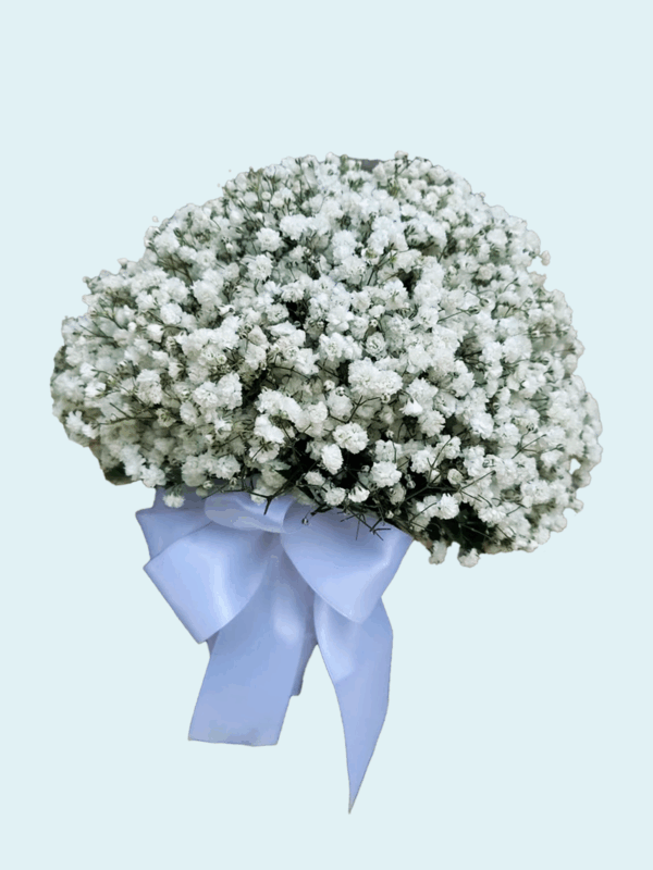 RDR-novias-11